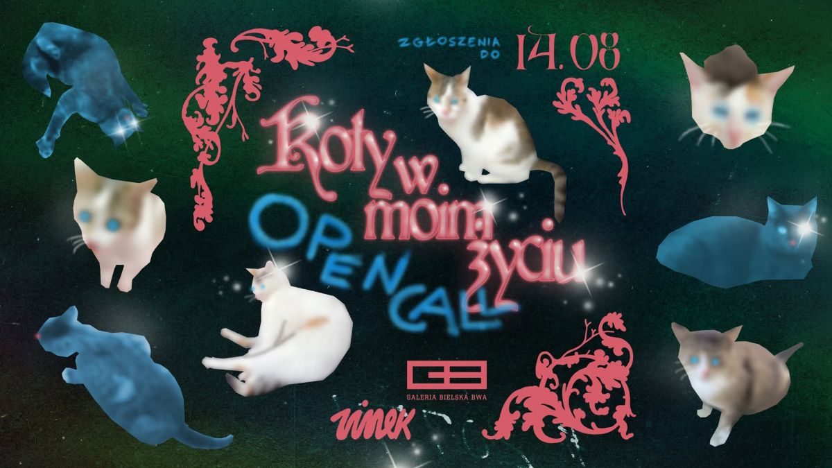 Koty w moim życiu