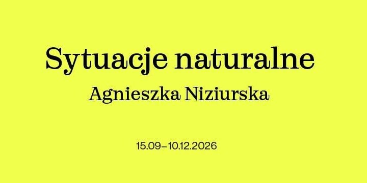 Sytuacje naturalne. Agnieszka Niziurska