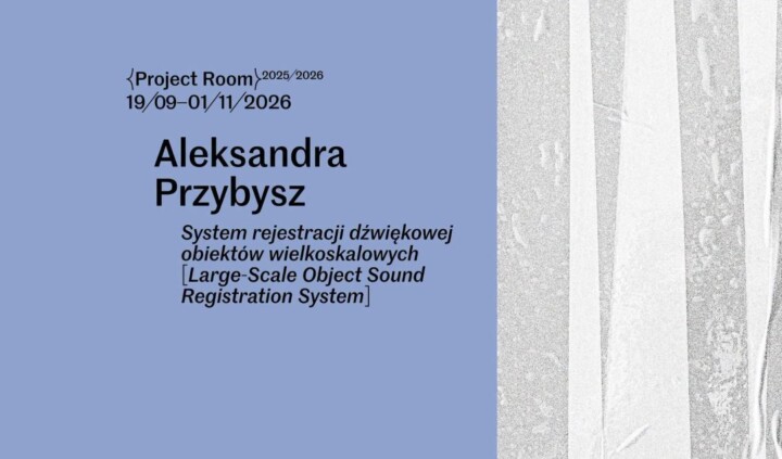 System rejestracji dźwiękowej obiektów wielkoskalowych. Aleksandra Przybysz 