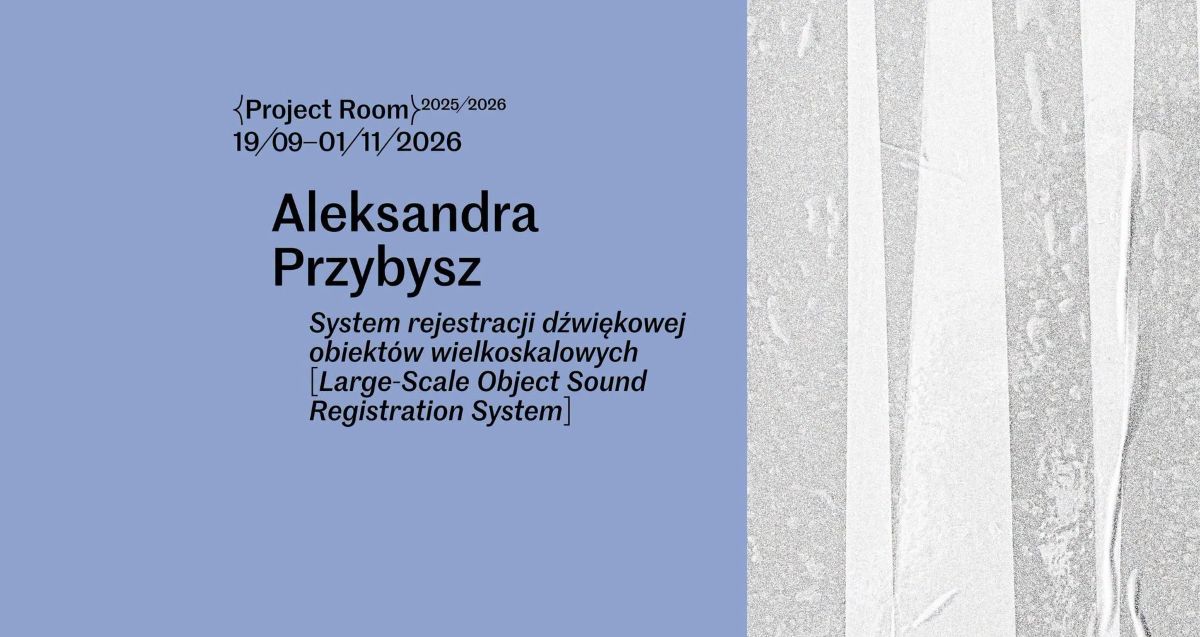 System rejestracji dźwiękowej obiektów wielkoskalowych. Aleksandra Przybysz 
