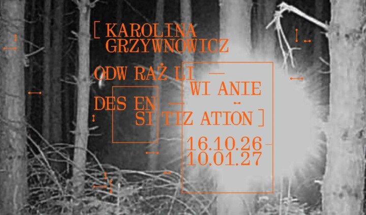 Karolina Grzywnowicz. Odwrażliwianie