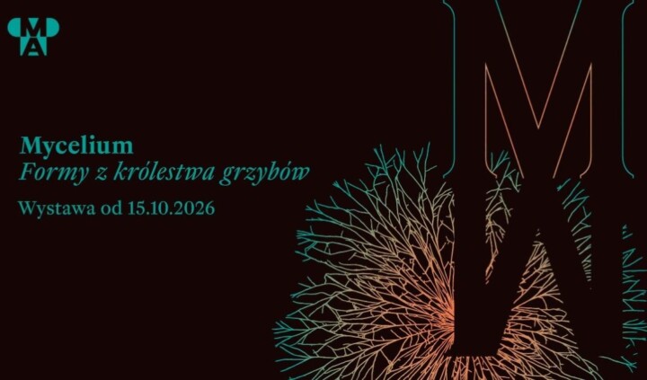 Mycelium. Formy z królestwa grzybów