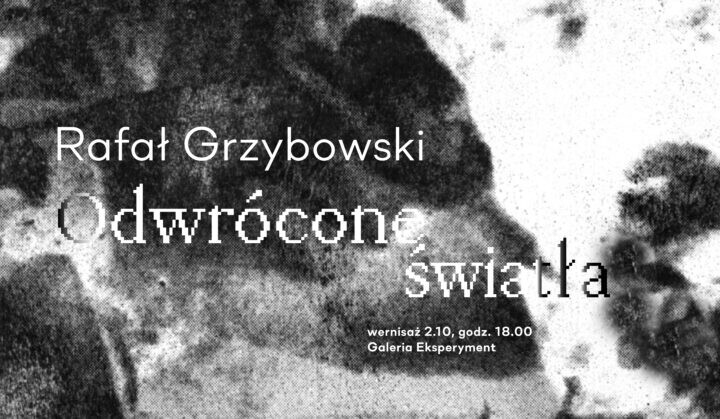 Odwrócone światła. Rafał Grzybowski