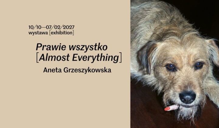 Aneta Grzeszykowska. Prawie wszystko