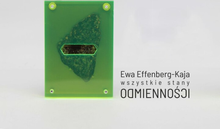 Ewa Effenberg-Kaja. Wszystkie stany odmienności