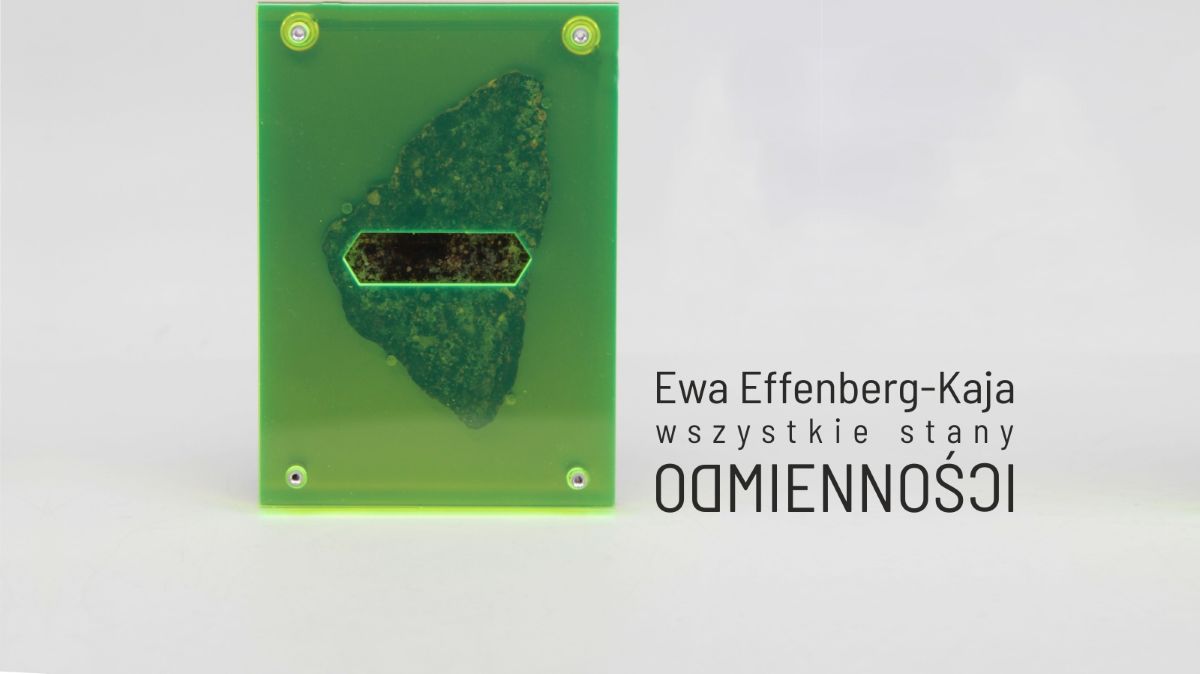 Ewa Effenberg-Kaja. Wszystkie stany odmienności