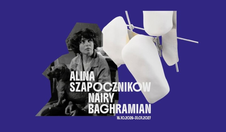 Alina Szapocznikow / Nairy Baghramian